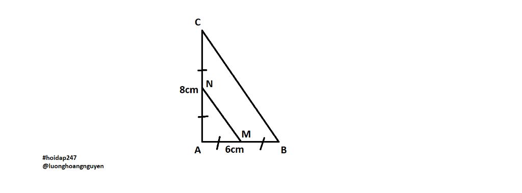 toan-lop-8-cho-abc-a-co-m-la-trung-diem-ab-n-la-trung-diem-ac-tinh-do-dai-mn-biet-ab-6cm-ac-8cm