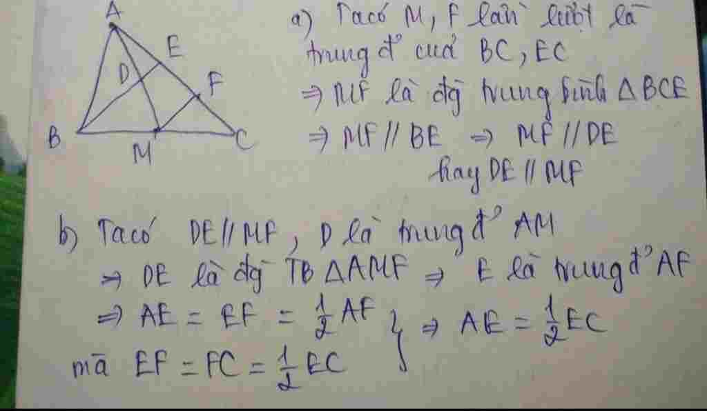 toan-lop-8-cho-abc-duong-trung-tuyen-am-goi-d-la-trung-diem-cua-am-e-la-giao-diem-cua-bd-va-ac-f