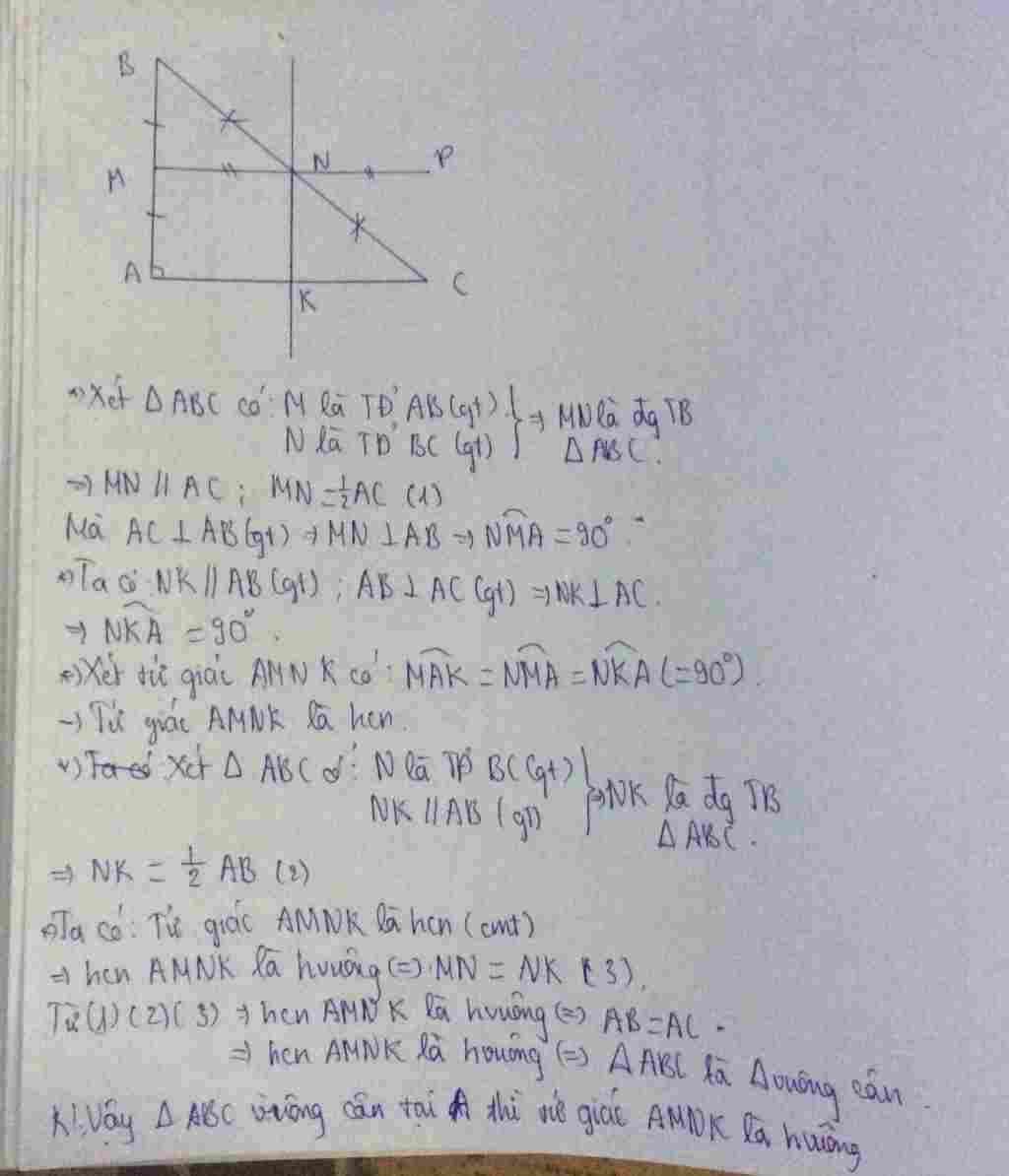 toan-lop-8-cho-abc-vuong-tai-a-goi-m-n-lan-luot-la-trung-diem-cua-ab-va-bc-tren-tia-doi-nm-lay-d