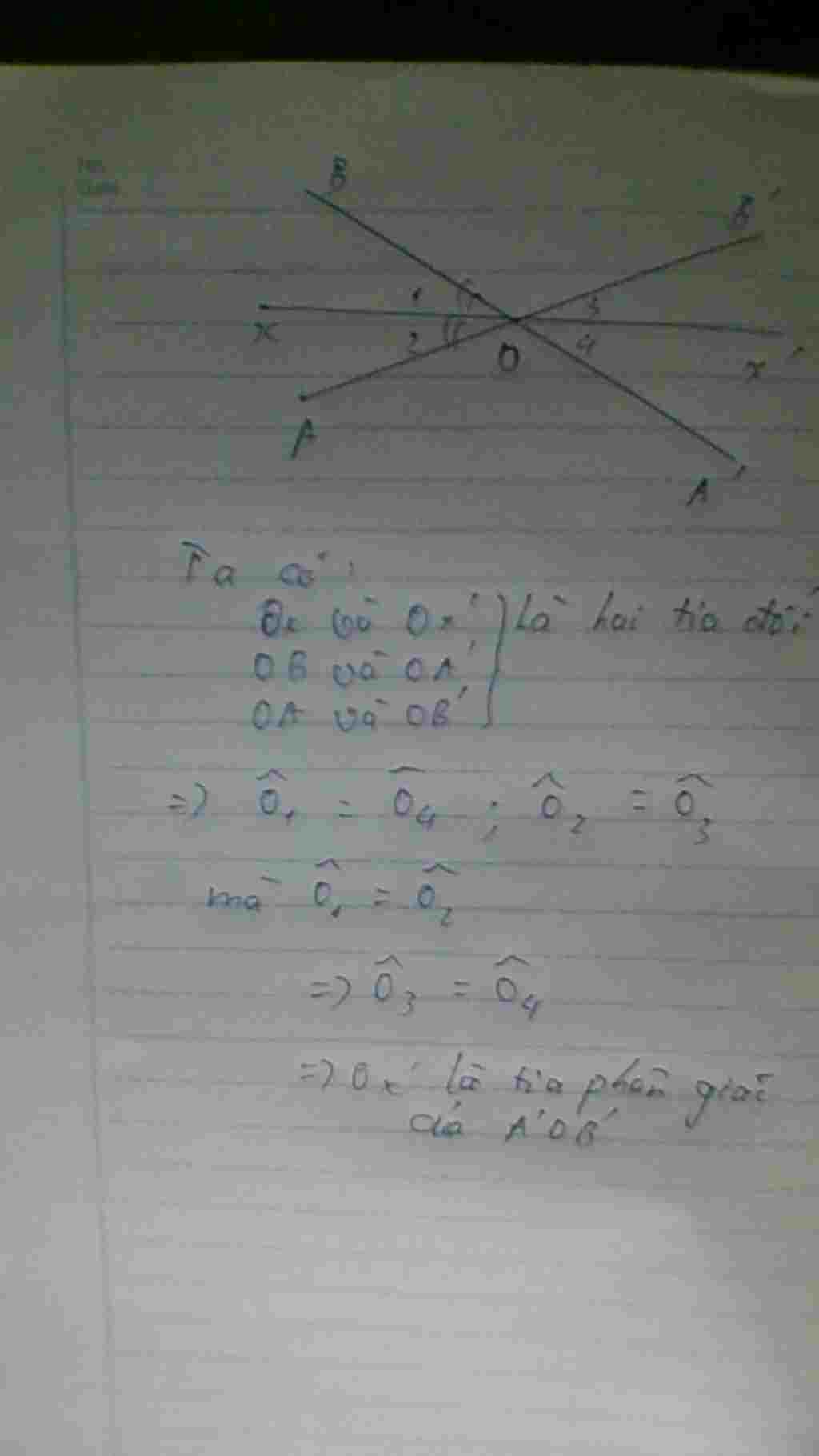 toan-lop-8-cho-hai-goc-doi-dinh-aob-va-a-o-b-goi-o-la-tia-phan-giac-cua-goc-aob-o-la-tia-doi-cua