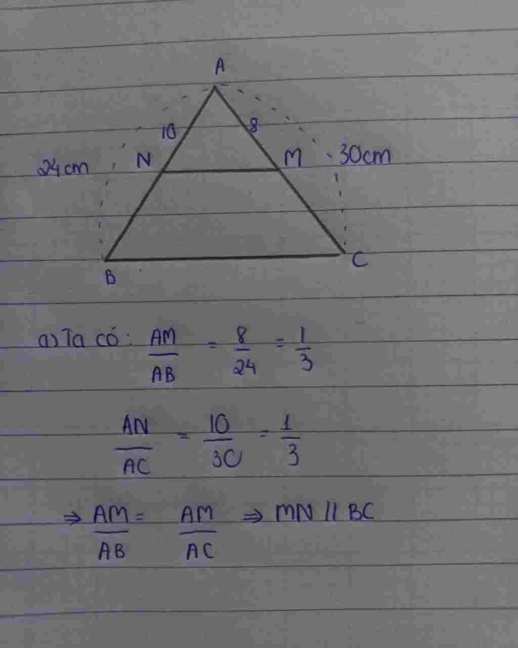 toan-lop-8-cho-tam-giac-abc-co-ab-24-cm-ac-30cm-tren-canh-ab-va-ac-lan-luot-lay-cac-diem-m-va-n