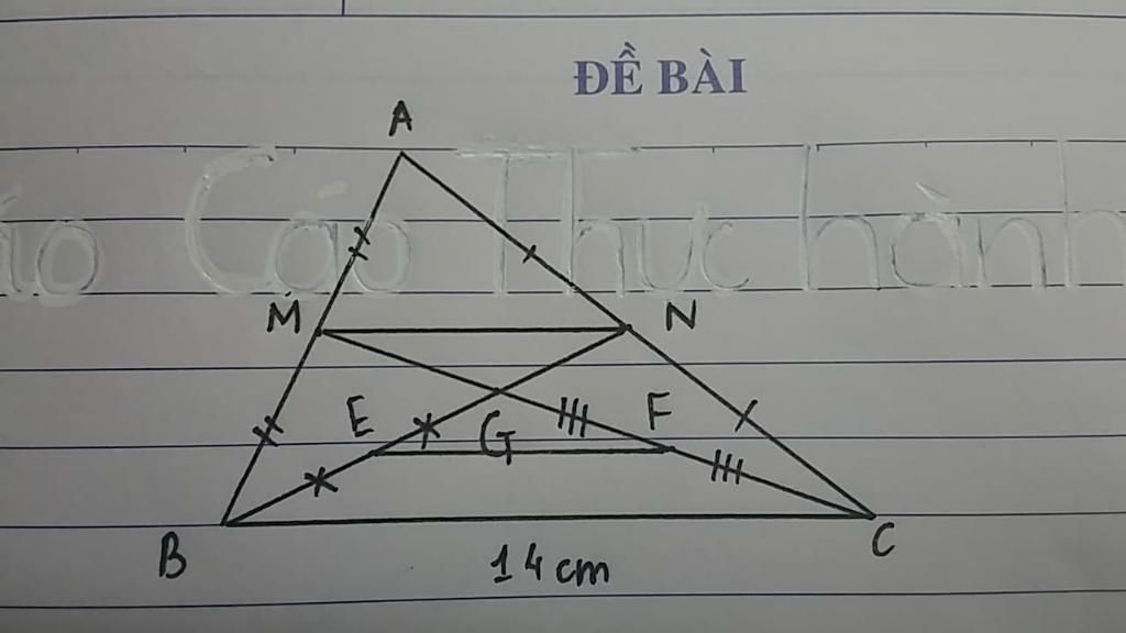 toan-lop-8-cho-tam-giac-abc-nhon-co-bn-cm-la-hai-duong-trung-tuyen-cat-nhau-tai-g-ve-hinh-a-cho