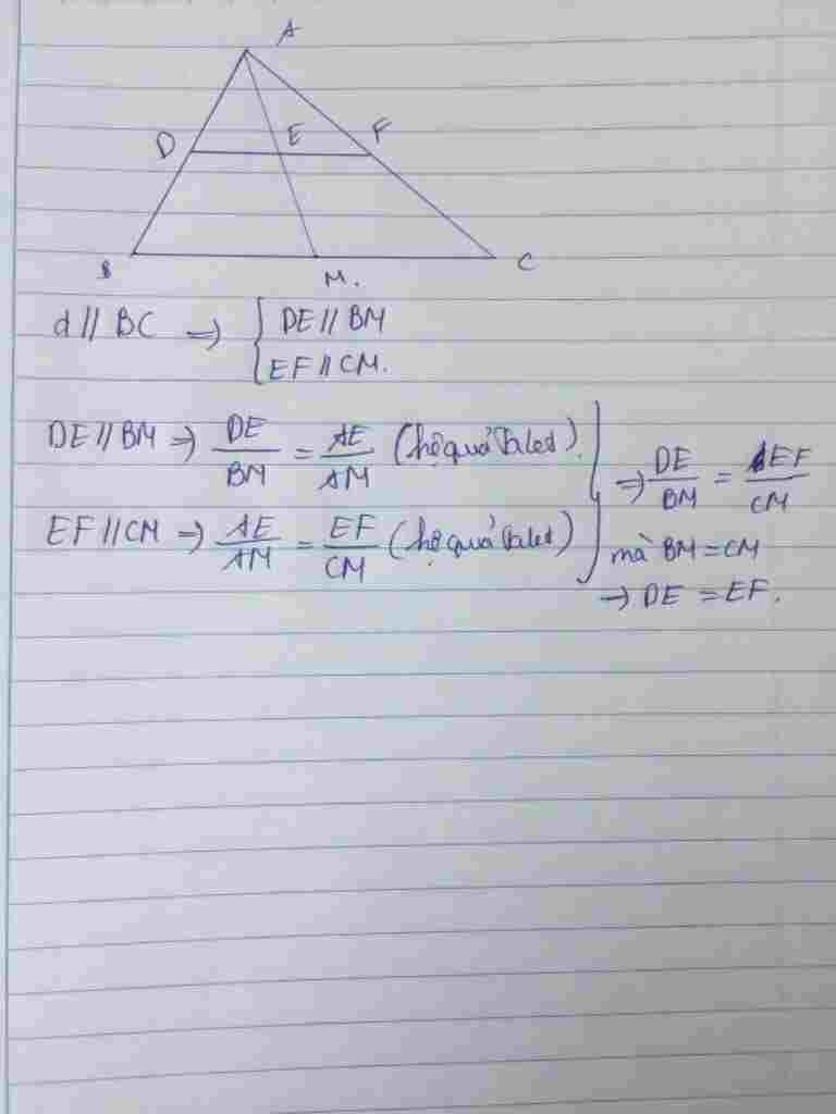 toan-lop-8-cho-tam-giac-abc-trung-tuyen-am-duong-thang-d-song-song-voi-bc-cat-ab-am-ac-lan-luot
