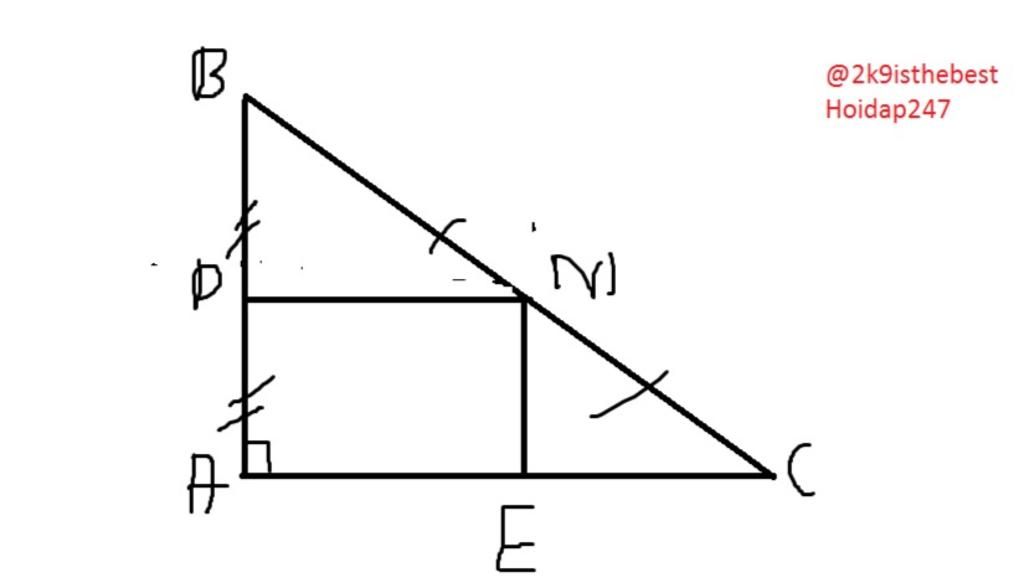 toan-lop-8-cho-tam-giac-abc-vuong-tai-a-co-ac-2-ab-goi-m-d-lan-luot-la-trung-diem-cua-bc-va-ab-k