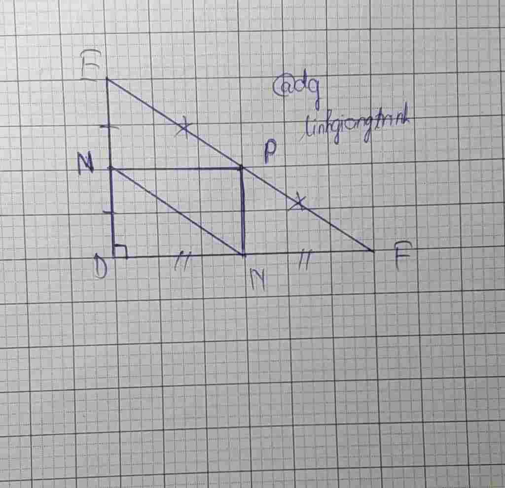 toan-lop-8-cho-tam-giac-def-vuong-tai-d-goi-m-n-p-lan-luot-la-trung-diem-cua-de-df-ef-a-chung-mi