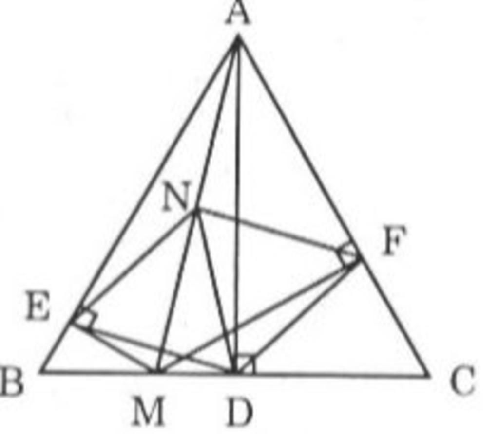 toan-lop-8-cho-tam-giac-deu-abc-duong-cao-ad-m-la-diem-nam-giua-b-va-d-goi-n-la-trung-diem-doan