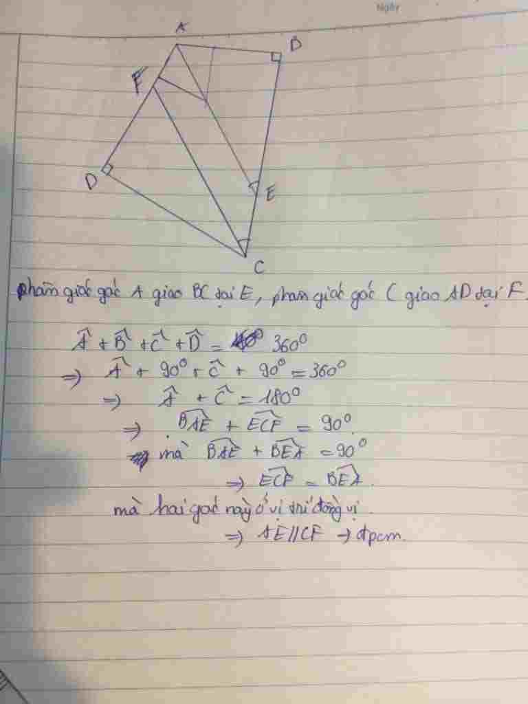 toan-lop-8-cho-tu-giac-abcd-co-goc-b-bang-goc-d-bang-90-do-ve-tia-phan-giac-trong-cua-hai-goc-a