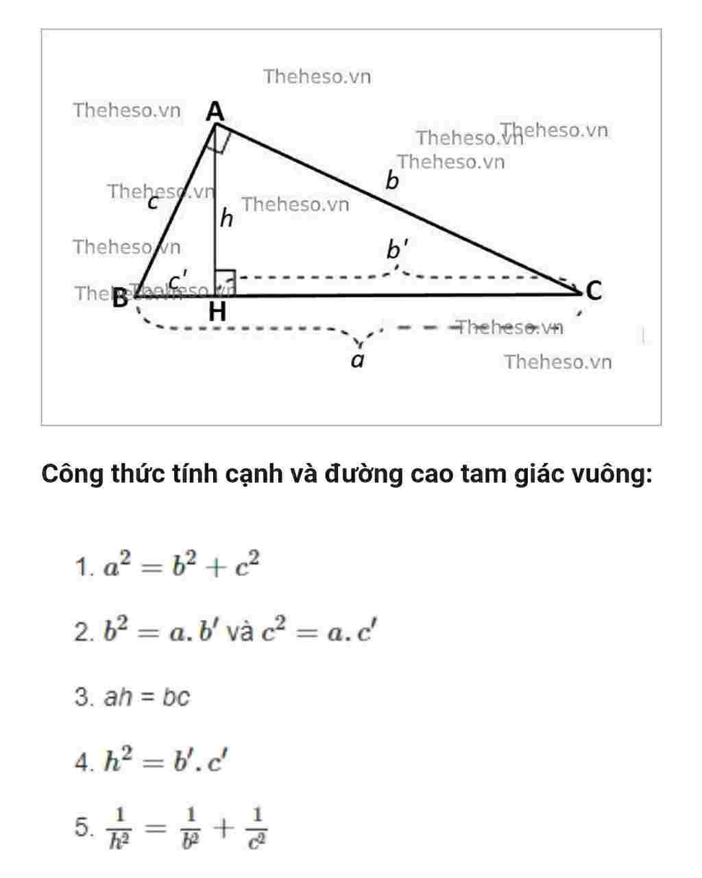 toan-lop-8-cong-thuc-tinh-duong-cao-trong-tam-giac-vuong-giai-thich-de-hieu-iu-a