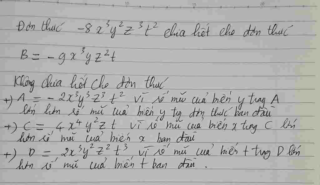 toan-lop-8-don-thuc-8-3y-2z-3t-2-chia-het-cho-don-thuc-nao-a-2-3y-3z-3t-2-b-9-3yz-2t-c-4-4y-2zt