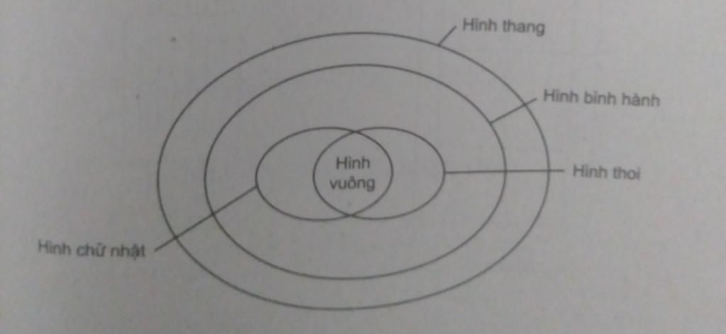 Toán Lớp 8: Giao của tập hợp các hình chữ nhật và tập hợp các hình thoi là tập hợp các hình: A. Hình thang B. Tứ giác C. Hình bình hành D. Hình vuô toan-lop-8-giao-cua-tap-hop-cac-hinh-chu-nhat-va-tap-hop-cac-hinh-thoi-la-tap-hop-cac-hinh-a-hin