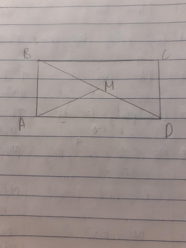 toan-lop-8-hinh-chu-nhat-co-duong-cheo-bang-5cm-thi-duong-thi-duong-trung-tuyen-ung-voi-duong-ch