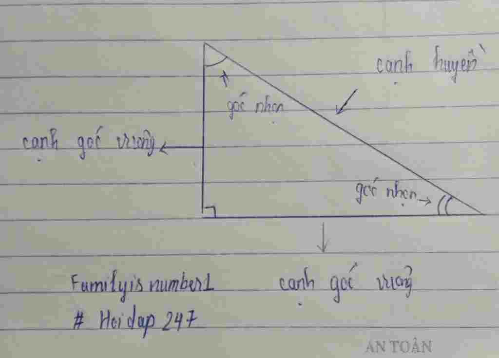 toan-lop-8-lam-sao-de-phan-biet-giua-canh-huyen-goc-nhon-canh-huyen-canh-goc-vuong