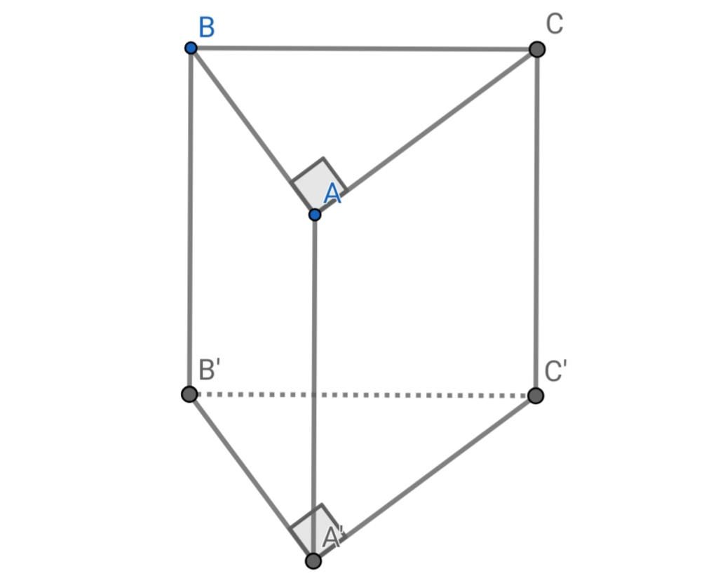 toan-lop-8-lang-tru-dung-abc-a-b-c-co-day-la-tam-giac-vuong-hai-canh-goc-vuong-lan-luot-la-3cm-4