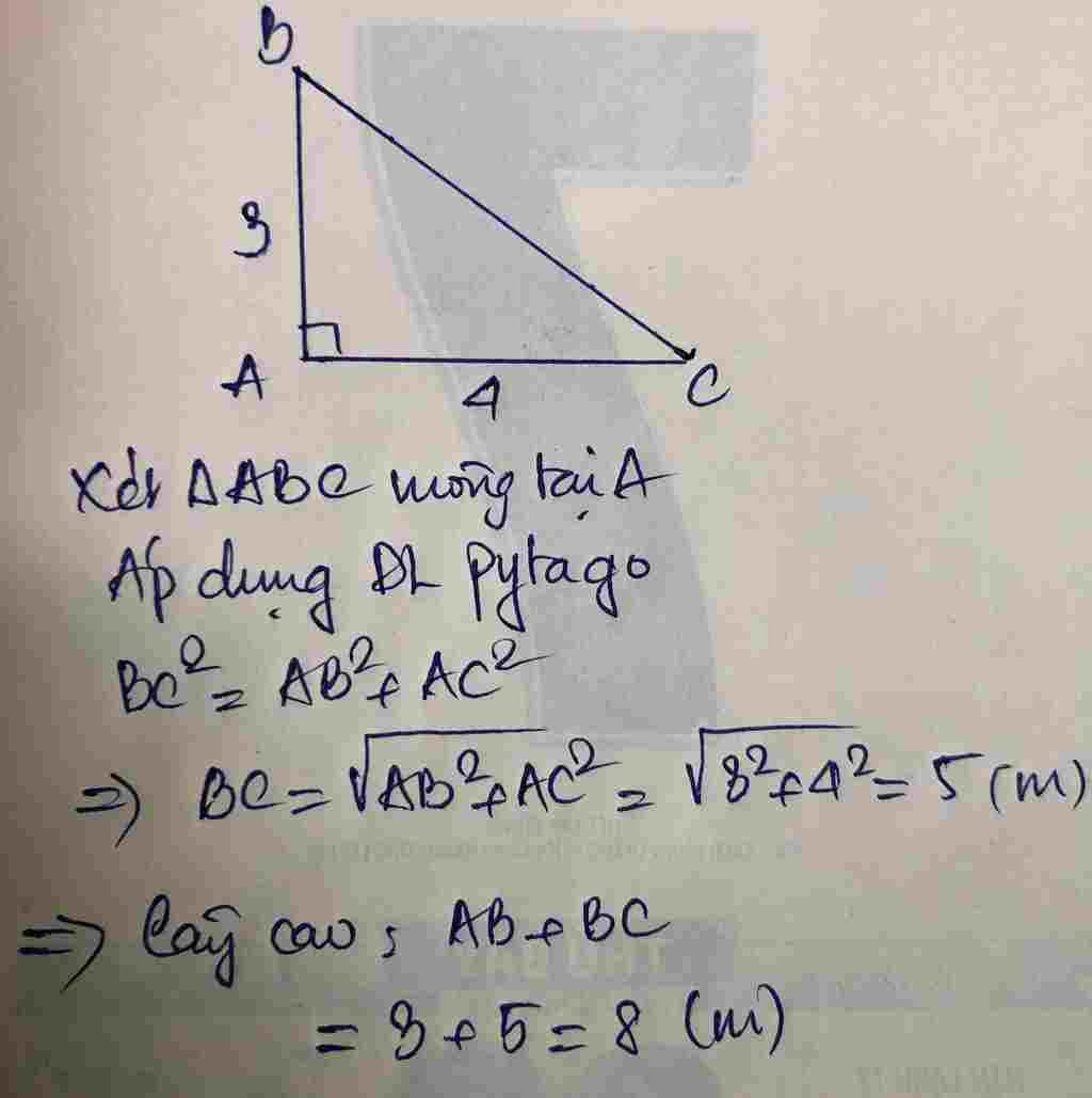 toan-lop-8-mot-cay-tre-bi-gio-lam-gay-gap-uong-dat-nong-cay-cham-dat-cach-goc-4m-tu-goc-den-cho