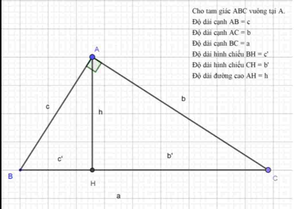 toan-lop-9-3-he-thuc-luong-trong-tam-giac-vuong-ve-hinh-viet-cac-dang-thuc