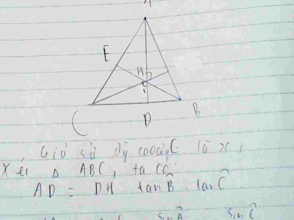 toan-lop-9-bai-5-1-0diem-cho-tam-giac-nhon-abc-hai-duong-cao-ad-va-be-cat-nhau-tai-h-chung-minh