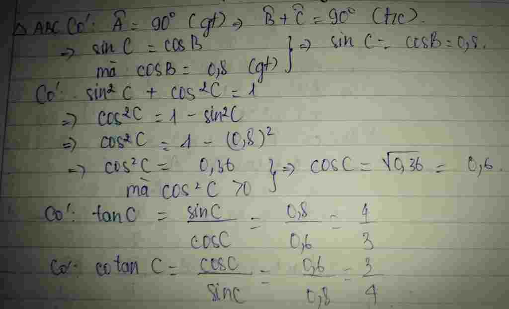 toan-lop-9-cho-tam-giac-abc-co-a-90-do-cos-b-0-8-tinh-cac-ti-so-lg-giac-cua-c