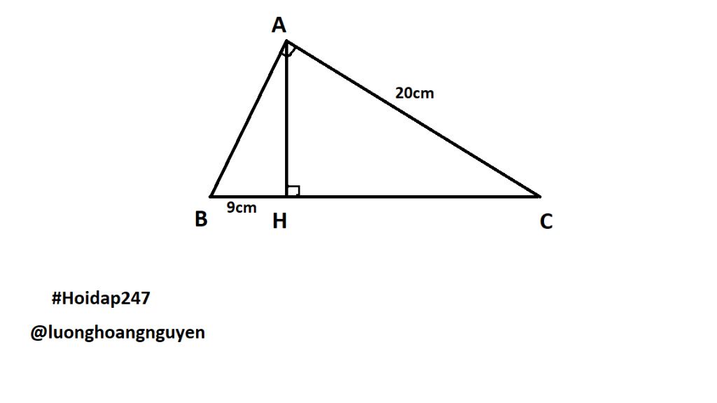 toan-lop-9-cho-tam-giac-abc-co-goc-a-bang-90-do-duong-cao-ah-biet-bh-9cm-ac-20cm-tinh-ab-ac