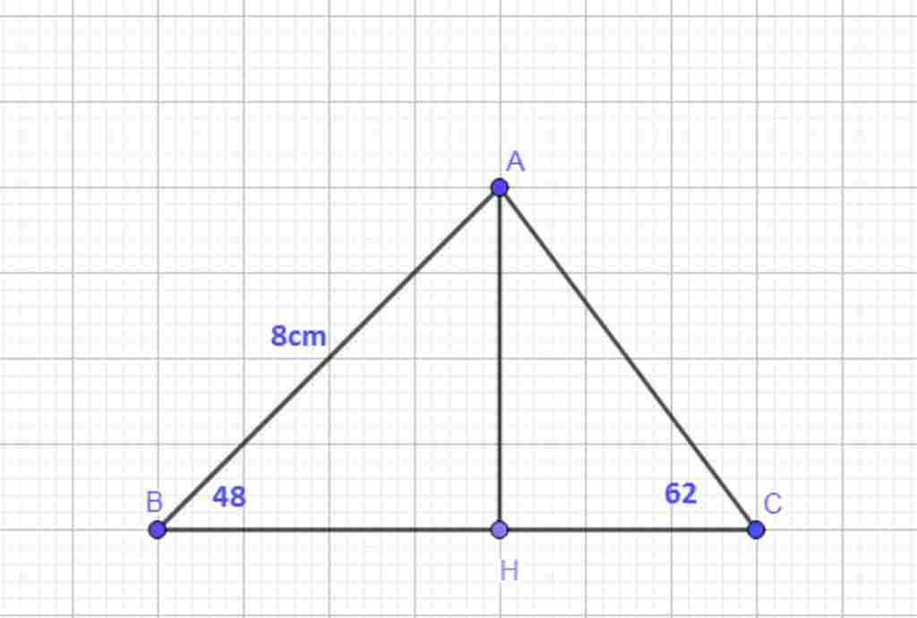 toan-lop-9-cho-tam-giac-abc-goc-b-48-do-goc-c-62-do-ab-8m-tinh-ac