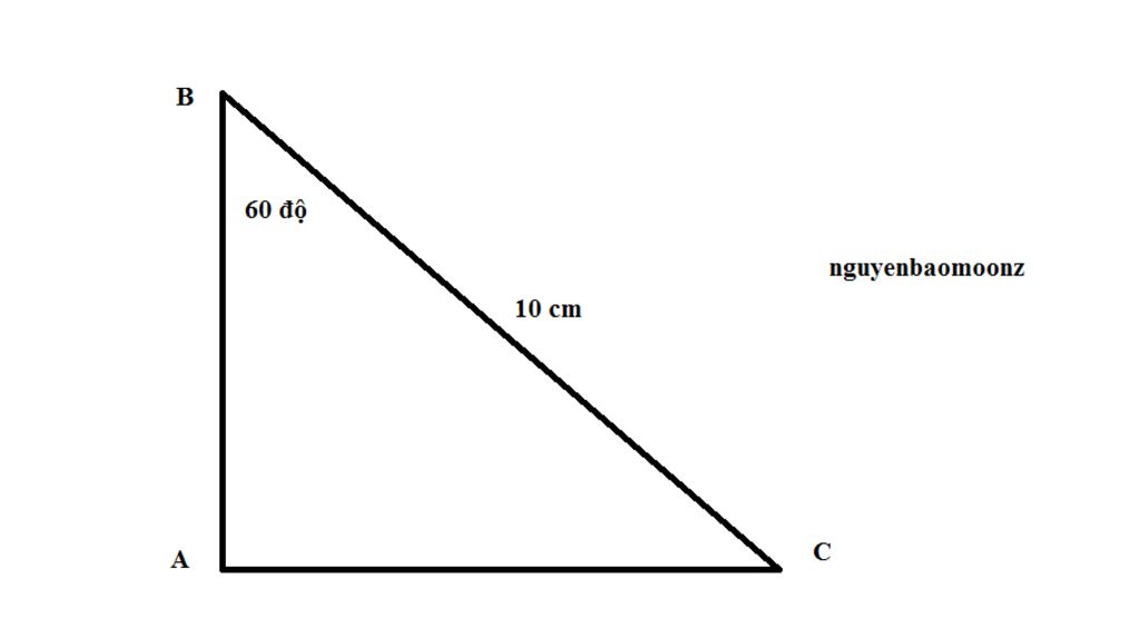 toan-lop-9-cho-tam-giac-abc-vuong-tai-a-biet-bc-10cm-goc-b-60-giai-tam-giac-abc-ai-giai-ho-em-a