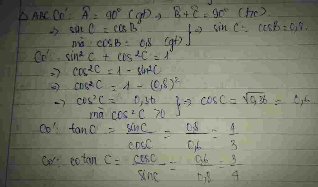 toan-lop-9-cho-tam-giac-abc-vuong-tai-a-cosb-0-8-hay-tinh-cac-ti-so-luong-giac-cua-goc-c