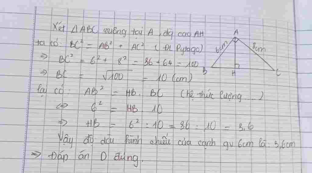 toan-lop-9-cho-tam-giac-abc-vuong-tai-a-duong-cao-ah-biet-ab-6cm-ac-8cm-do-dai-hinh-chieu-cua-ca