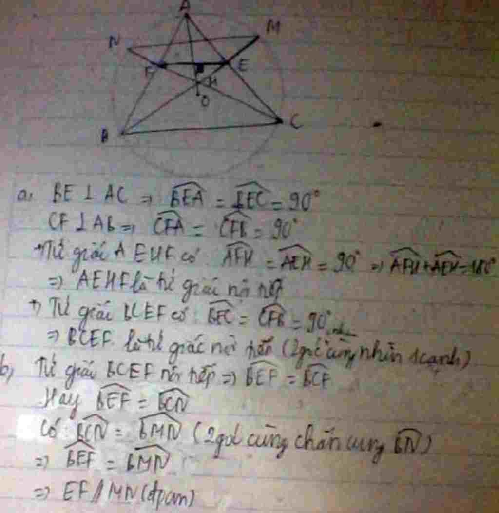 toan-lop-9-cho-tam-giac-def-co-3-goc-nhon-ve-duong-tron-o-co-duong-kinh-e-no-cat-de-df-theo-thu