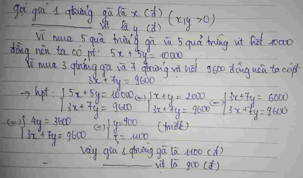 toan-lop-9-hom-qua-me-cua-lan-di-cho-mua-5-qua-trung-ga-va-5-qua-trung-vit-het-10-000-dong-hom-n
