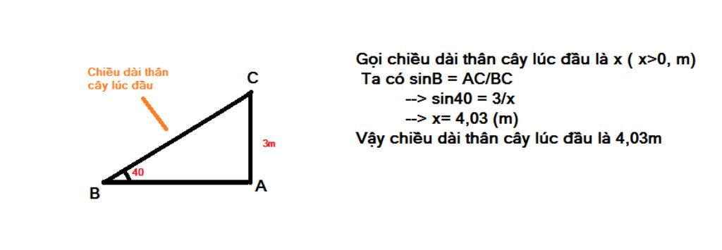 toan-lop-9-mot-cai-cay-thang-dung-khi-gap-bao-than-cay-bi-gay-gap-uong-cham-mat-dat-va-tao-voi-m