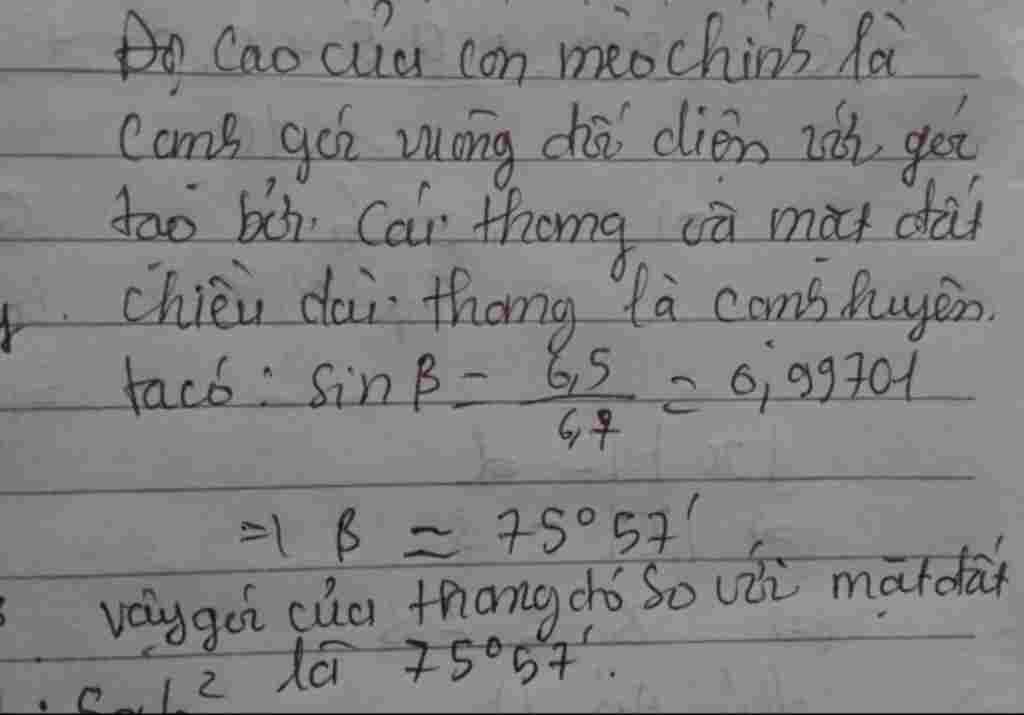 toan lop 9 motcon meo o tren canh cay cao6 05m de bat meo uong can phai dat thang sao cho dau th toan-lop-9-motcon-meo-o-tren-canh-cay-cao6-05m-de-bat-meo-uong-can-phai-dat-thang-sao-cho-dau-th