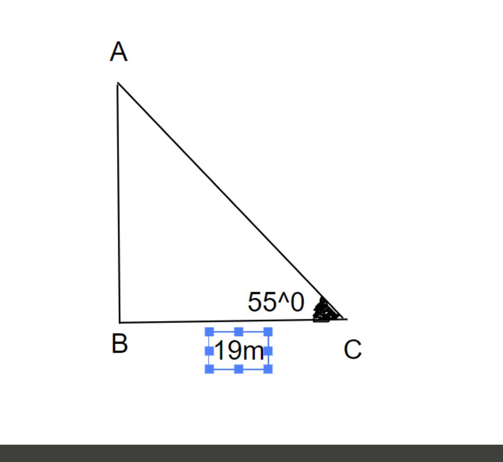 toan-lop-9-tinh-chieu-dai-cua-mot-cay-anh-biet-rang-mot-nguoi-cao-1-65m-dung-nhin-len-dinh-cay-t