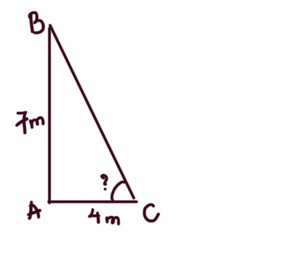 toan-lop-9-tu-dau-mot-cay-tru-dien-cao-7m-mot-con-chim-lao-thang-uong-bat-mot-con-sau-duoi-dat-c
