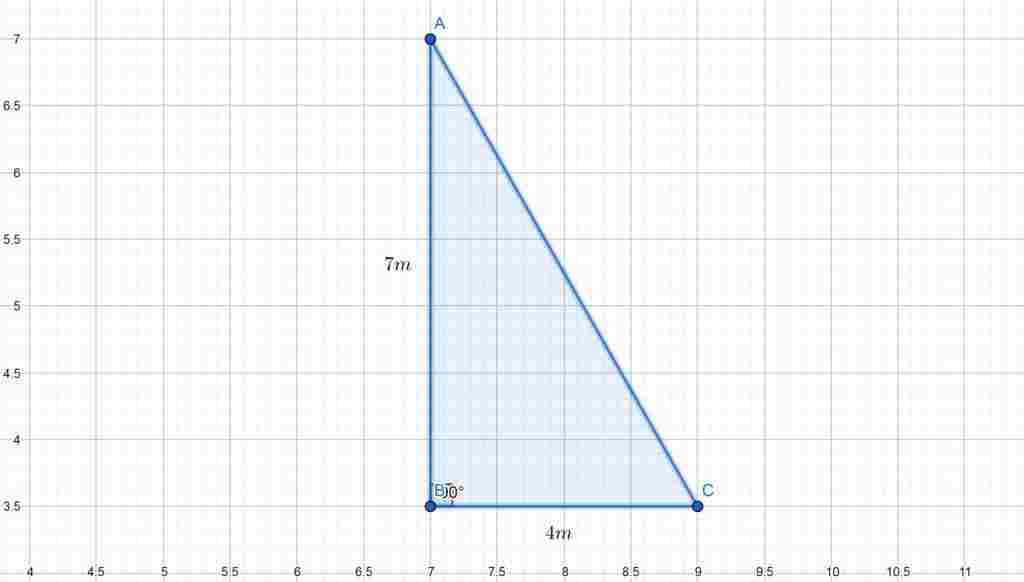 toan-lop-9-tu-dau-mot-cay-tru-dien-cao-7m-mot-con-chim-lao-thang-uong-bat-mot-con-sau-duoi-dat-c